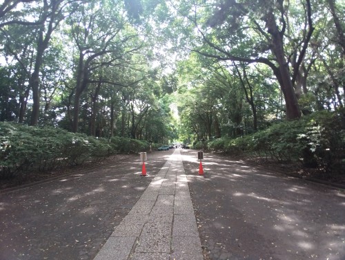 大宮八幡宮 ～歴史と自然が調和した神聖な空間～