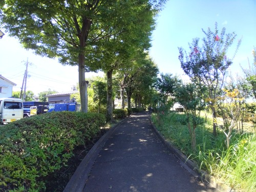 大田区大森 貴船堀緑地 ～自然と歴史を感じられる～