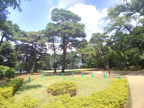 練馬区立石神井松の風文化公園 ～多様な楽しみ方ができる～
