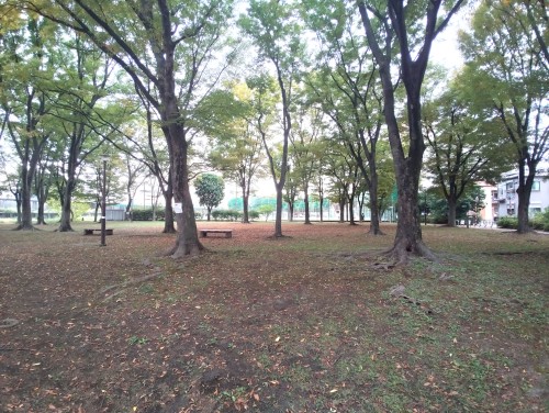 東京足立区 尾竹橋公園 ～心地よい風と自然の香り～