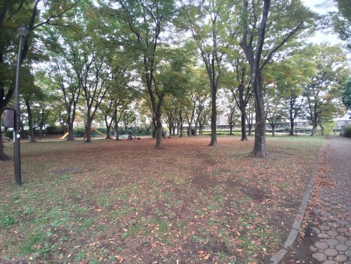 東京足立区 尾竹橋公園 ～心地よい風と自然の香り～