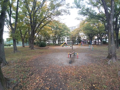 東京足立区 尾竹橋公園 ～心地よい風と自然の香り～