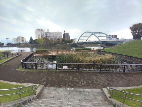 東京足立区 千住桜木わんど ～都会の中の静かな水辺～