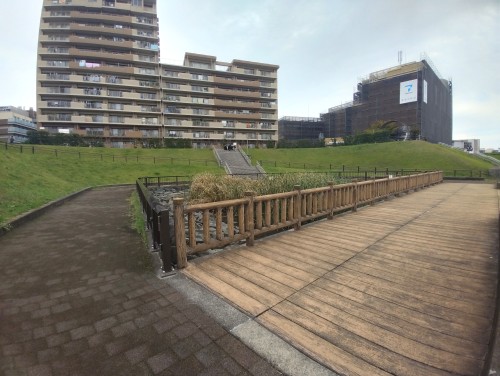 東京足立区 千住桜木わんど ～都会の中の静かな水辺～