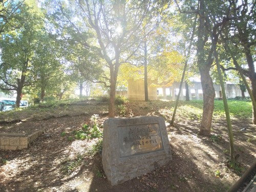 大阪 扇町公園 ～街中で自然を感じる憩いの広場～
