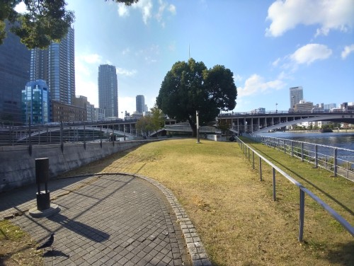 大阪 中之島公園 ～水と緑が息づく都会のオアシス～