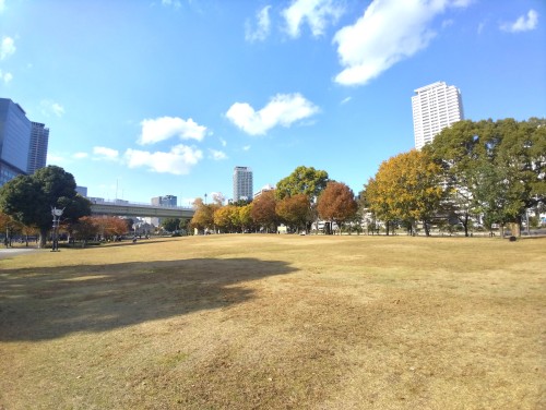 大阪 中之島公園 ～水と緑が息づく都会のオアシス～