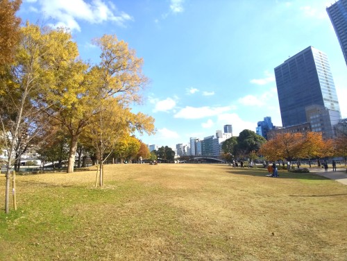 大阪 中之島公園 ～水と緑が息づく都会のオアシス～