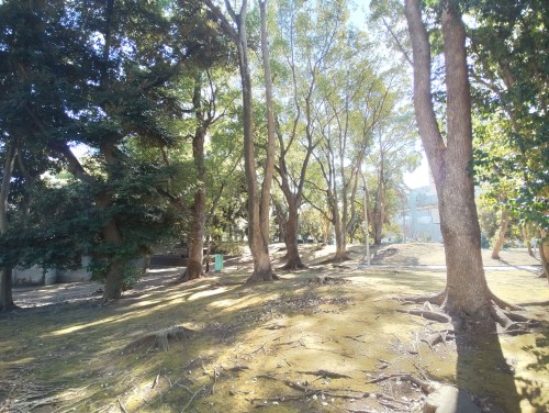 WALK-TRIPS ～ 歩き旅と写真