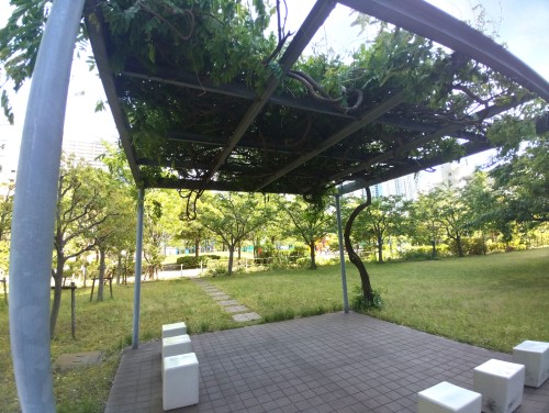 東京港区 港南和楽公園 ～品川港南でほっと休める公園～