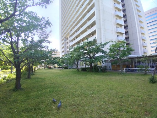 東京港区 港南和楽公園 ～品川港南でほっと休める公園～