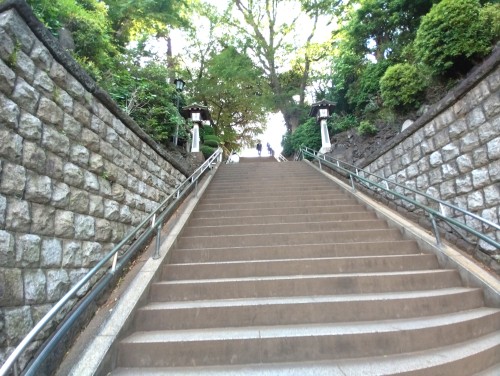 東京品川区 品川神社 ～北品川の街に息づく、歴史と信仰の静かな名所～