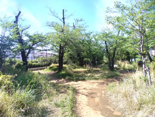 東京品川区 権現山公園 ～桜と高台の風情を感じる、北品川の静かな公園～