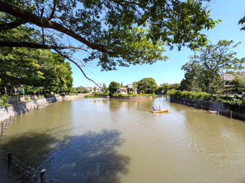 東京目黒区 碑文谷公園 ～池と動物に癒やされる、目黒の住宅街に広がる水辺の公園～