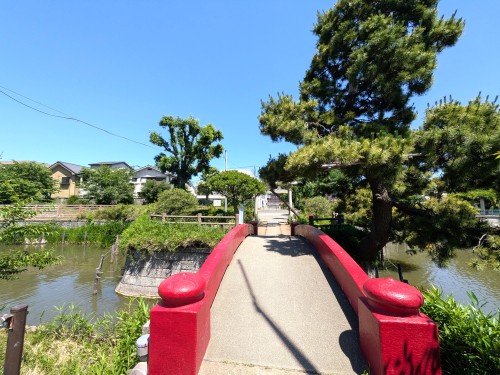 東京目黒区 碑文谷公園 ～池と動物に癒やされる、目黒の住宅街に広がる水辺の公園～