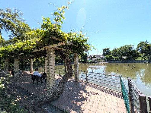 東京目黒区 碑文谷公園 ～池と動物に癒やされる、目黒の住宅街に広がる水辺の公園～