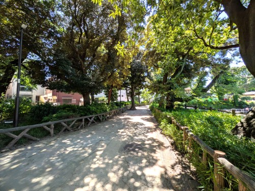 東京目黒区 碑文谷公園 ～池と動物に癒やされる、目黒の住宅街に広がる水辺の公園～