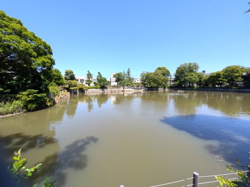 東京目黒区 碑文谷公園 ～池と動物に癒やされる、目黒の住宅街に広がる水辺の公園～