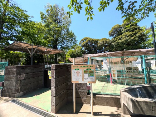 東京目黒区 碑文谷公園 ～池と動物に癒やされる、目黒の住宅街に広がる水辺の公園～