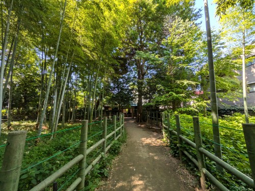 東京都目黒 すずめのお宿緑地公園 ～竹林のざわめきと古民家に、目黒の昔が息づく静かな公園～