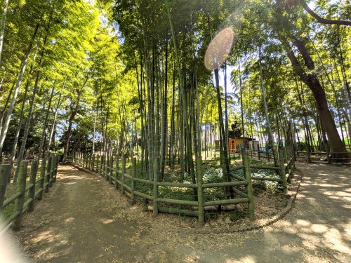 東京都目黒 すずめのお宿緑地公園 ～竹林のざわめきと古民家に、目黒の昔が息づく静かな公園～