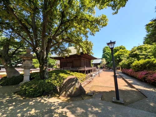WALK-TRIPS ～ 歩き旅と写真