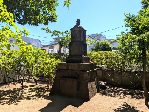 WALK-TRIPS ～ 歩き旅と写真