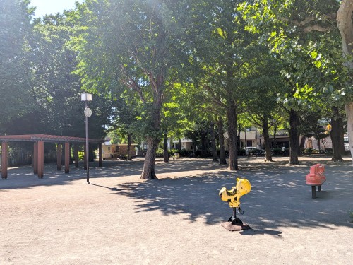 東京 目黒区立田向公園 ～桜並木と木漏れ日に癒やされる、碑文谷の静かな憩いの公園～