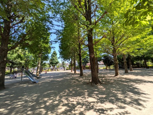 東京 目黒区立田向公園 ～桜並木と木漏れ日に癒やされる、碑文谷の静かな憩いの公園～