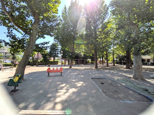 東京 目黒区立田向公園 ～桜並木と木漏れ日に癒やされる、碑文谷の静かな憩いの公園～