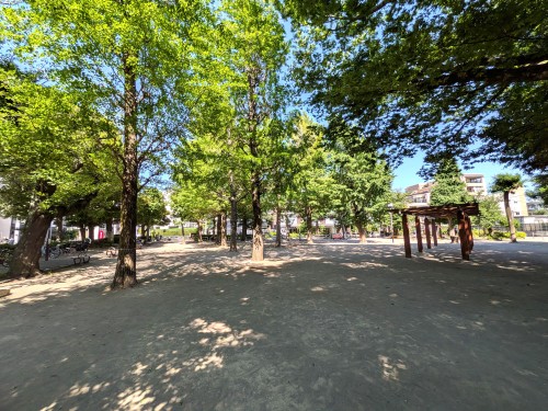 東京 目黒区立田向公園 ～桜並木と木漏れ日に癒やされる、碑文谷の静かな憩いの公園～