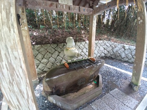 鳥取 白兎神社 ～神話の舞台を歩き、縁を結ぶ。日本海を望む白兎神社～
