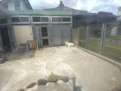 鳥取市 真教寺公園 ～街なかで動物と遊びに出会える、鳥取市の親子向け公園～