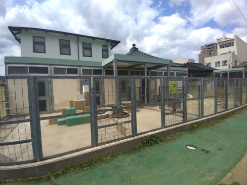 鳥取市 真教寺公園 ～街なかで動物と遊びに出会える、鳥取市の親子向け公園～