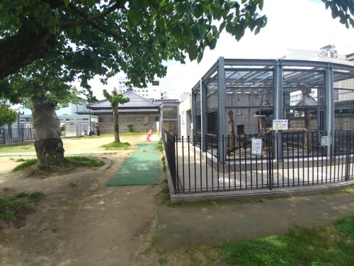 鳥取市 真教寺公園 ～街なかで動物と遊びに出会える、鳥取市の親子向け公園～