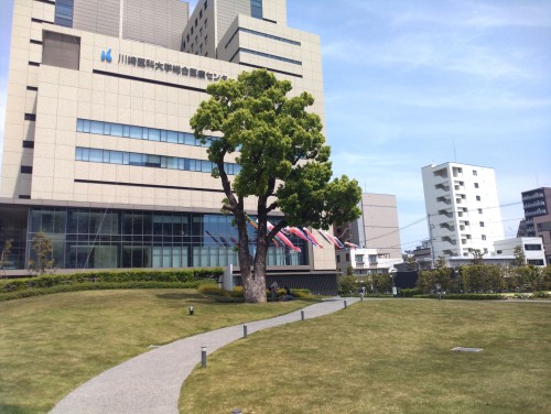 岡山市 深柢ガーデン ～街なかの静けさに出会う、歴史と緑が息づく深柢ガーデン～