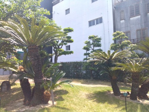岡山市 深柢ガーデン ～街なかの静けさに出会う、歴史と緑が息づく深柢ガーデン～