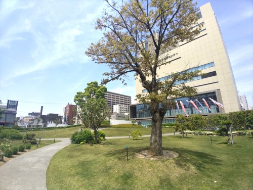 岡山市 深柢ガーデン ～街なかの静けさに出会う、歴史と緑が息づく深柢ガーデン～