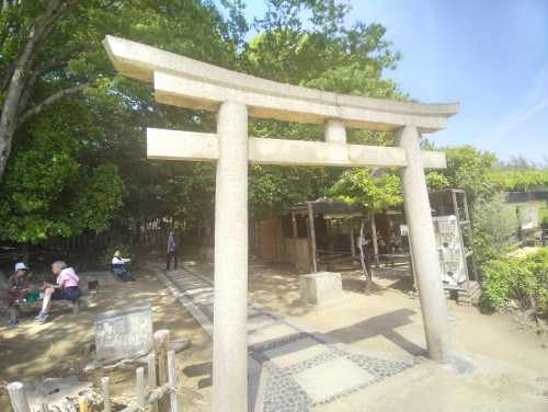 岡山市 岡山後楽園 ～芝生と水辺、岡山城を望む景色に心ほどける、日本三名園のひとつ～