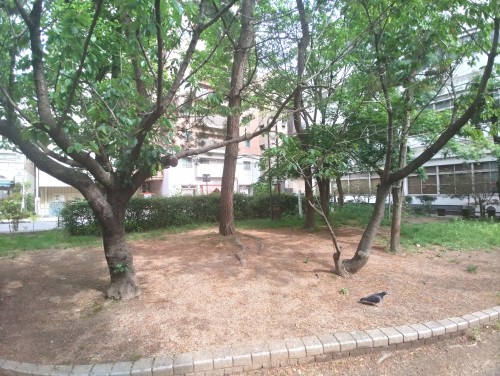 岡山市 東中山下公園 ～街なかのにぎわいを少し離れ、緑と遊具でほっとひと息つける東中山下公園～