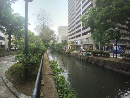 岡山市 西川緑道公園 ～岡山市の真ん中で、水音と木漏れ日に癒やされる、街なかの緑の散歩道～
