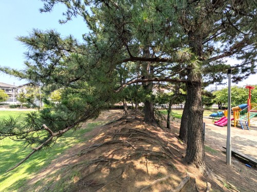 WALK-TRIPS ～ 歩き旅と写真