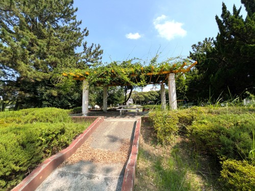 WALK-TRIPS ～ 歩き旅と写真