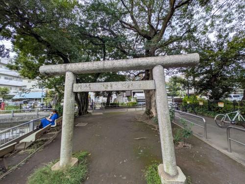 目黒区 清水池公園 ～目黒区の住宅街に広がる水辺の憩いの場。釣りや遊具、豊かな緑を楽しめる清水池公園～