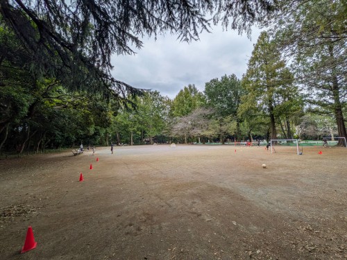 品川区 林試の森公園 ～大きな木々と豊かな緑に包まれ、池や広場を巡りながら四季の自然を楽しめる都会の森～