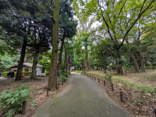 品川区 林試の森公園 ～大きな木々と豊かな緑に包まれ、池や広場を巡りながら四季の自然を楽しめる都会の森～