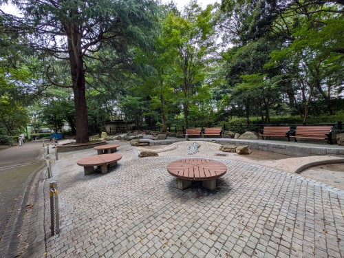 品川区 林試の森公園 ～大きな木々と豊かな緑に包まれ、池や広場を巡りながら四季の自然を楽しめる都会の森～