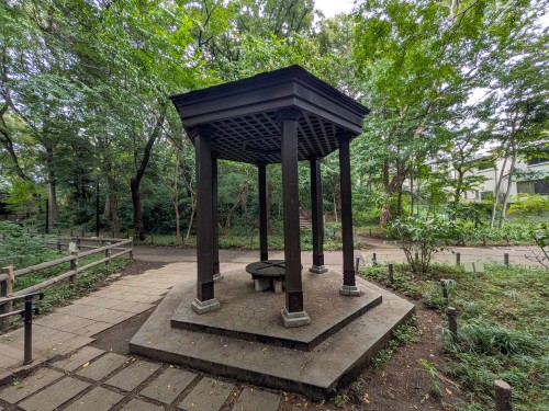 品川区 林試の森公園 ～大きな木々と豊かな緑に包まれ、池や広場を巡りながら四季の自然を楽しめる都会の森～