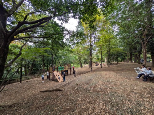品川区 林試の森公園 ～大きな木々と豊かな緑に包まれ、池や広場を巡りながら四季の自然を楽しめる都会の森～