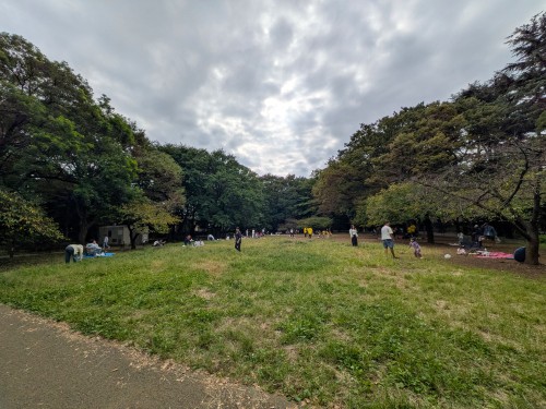 品川区 林試の森公園 ～大きな木々と豊かな緑に包まれ、池や広場を巡りながら四季の自然を楽しめる都会の森～